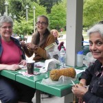 West Coast Knitters Guild - Knit in the Park Aug 2013